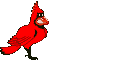 Imagen-animada-Ave-136.gif