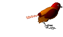 Imagen-animada-Ave-144.gif