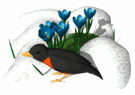 Imagen-animada-Ave-145.gif