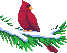 Imagen-animada-Ave-15.gif
