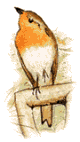 Imagen-animada-Ave-155.gif
