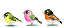Imagen-animada-Ave-157.gif
