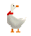 Imagen-animada-Ave-16.gif