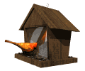 Imagen-animada-Ave-162.gif