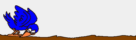 Imagen-animada-Ave-164.gif