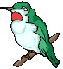 Imagen-animada-Ave-170.gif