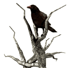 Imagen-animada-Ave-171.gif