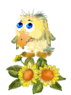 Imagen-animada-Ave-172.gif