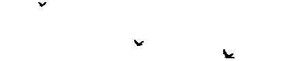 Imagen-animada-Ave-178.gif