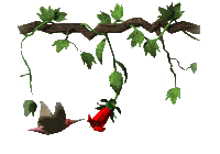 Imagen-animada-Ave-180.gif