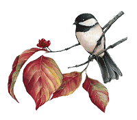 Imagen-animada-Ave-181.gif