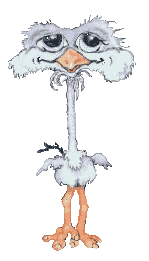 Imagen-animada-Ave-184.gif