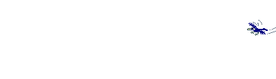 Imagen-animada-Ave-20.gif