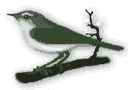 Imagen-animada-Ave-25.gif