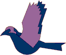 Imagen-animada-Ave-33.gif