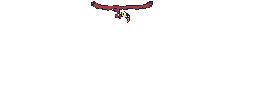 Imagen-animada-Ave-34.gif