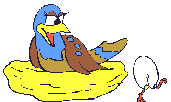 Imagen-animada-Ave-35.gif