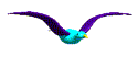 Imagen-animada-Ave-41.gif