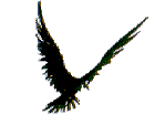 Imagen-animada-Ave-48.gif