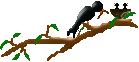Imagen-animada-Ave-51.gif