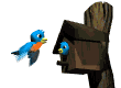 Imagen-animada-Ave-60.gif