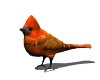 Imagen-animada-Ave-61.gif