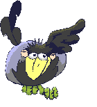 Imagen-animada-Ave-62.gif