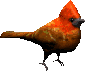Imagen-animada-Ave-79.gif