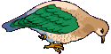 Imagen-animada-Ave-89.gif