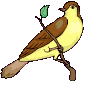 Imagen-animada-Ave-96.gif