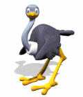 Imagen-animada-Avestruz-02.gif