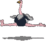 Imagen-animada-Avestruz-06.gif
