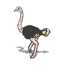 Imagen-animada-Avestruz-07.gif