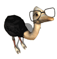 Imagen-animada-Avestruz-10.gif
