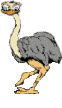 Imagen-animada-Avestruz-11.gif