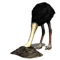Imagen-animada-Avestruz-12.gif