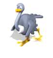 Imagen-animada-Avestruz-15.gif