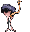 Imagen-animada-Avestruz-16.gif