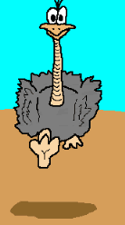 Imagen-animada-Avestruz-18.gif