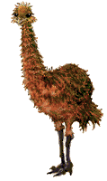Imagen-animada-Avestruz-21.gif
