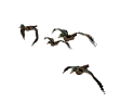 Imagen-animada-Bandada-de-aves-03.gif