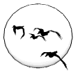 Imagen-animada-Bandada-de-aves-04.gif