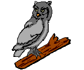 Imagen-animada-Buho-01.gif