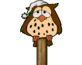 Imagen-animada-Buho-03.gif