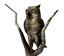 Imagen-animada-Buho-04.gif