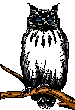 Imagen-animada-Buho-07.gif