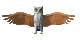 Imagen-animada-Buho-09.gif