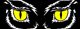 Imagen-animada-Buho-10.gif
