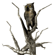 Imagen-animada-Buho-12.gif