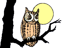 Imagen-animada-Buho-16.gif